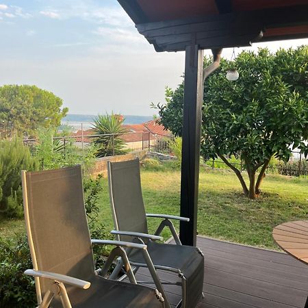 Apartment Orange Tree Portoroz Bagian luar foto